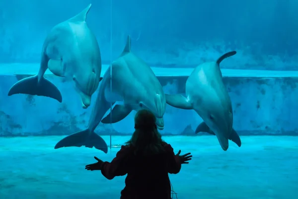 shutterstock_1282174750